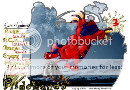 User Image